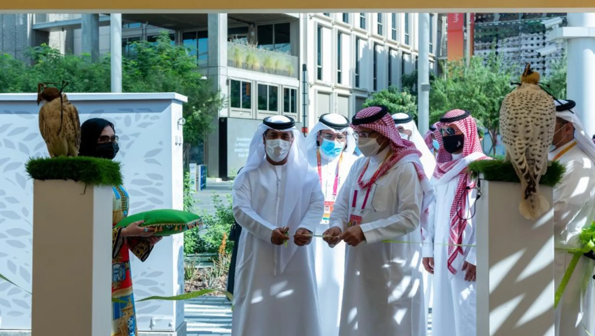 Saudi Falcons Club